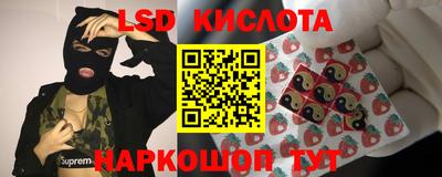 стафф Будённовск