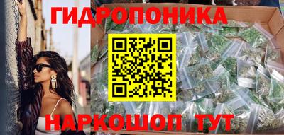 стафф Будённовск