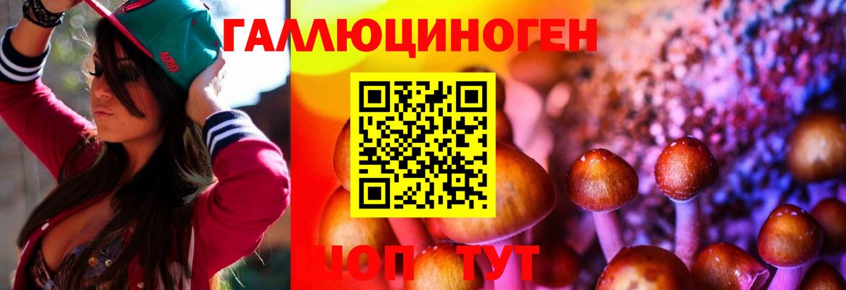 Муравленко  Псилоцибиновые грибы Cubensis  Вход с VPN 